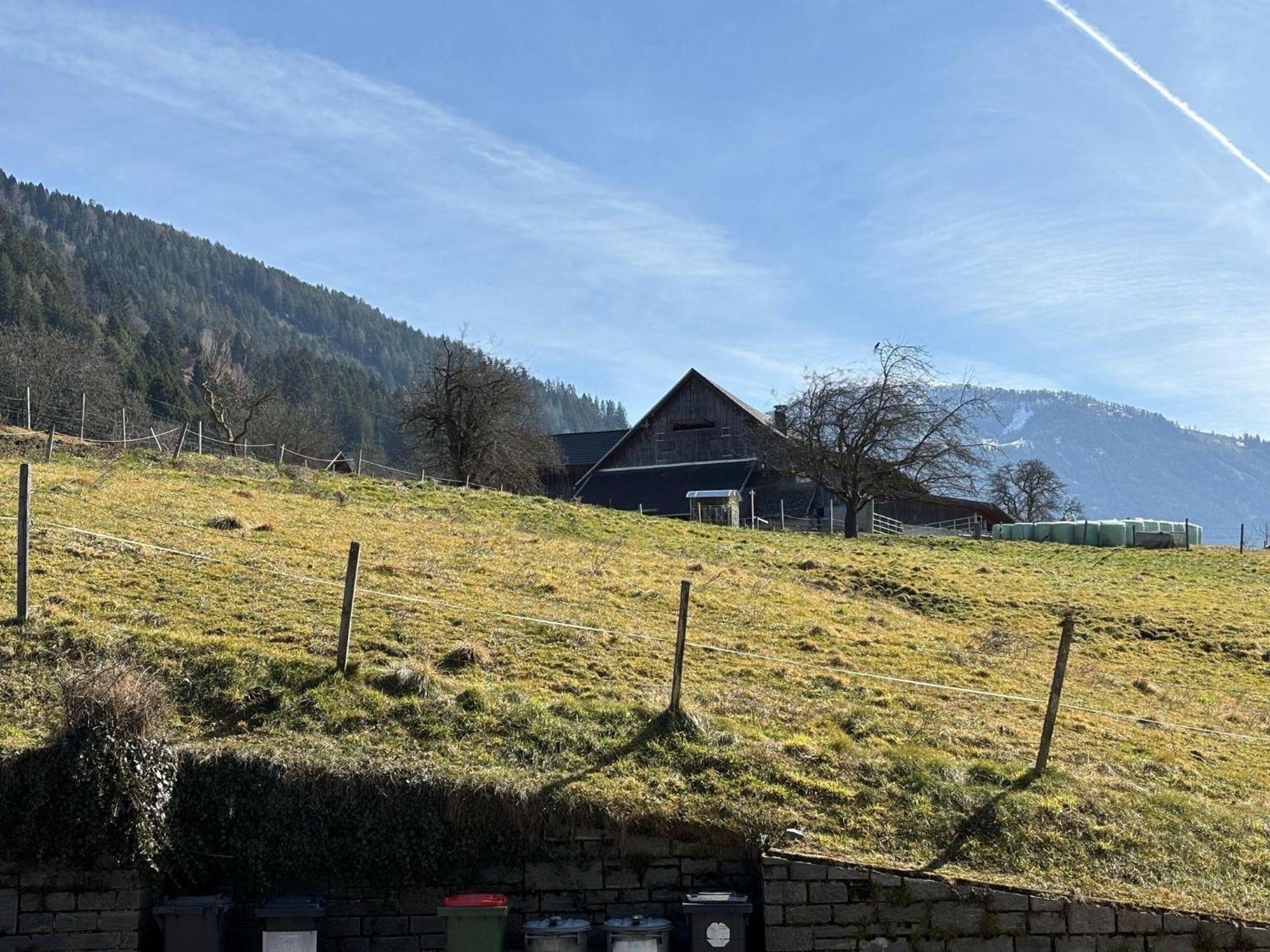 Moderne-Ferienwohnung-Nur-1Km-Vom-Millstaetter-See-In-Kaernten-Entfernt Millstatt Exteriör bild